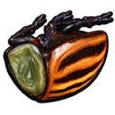 Potato Beetle Shell